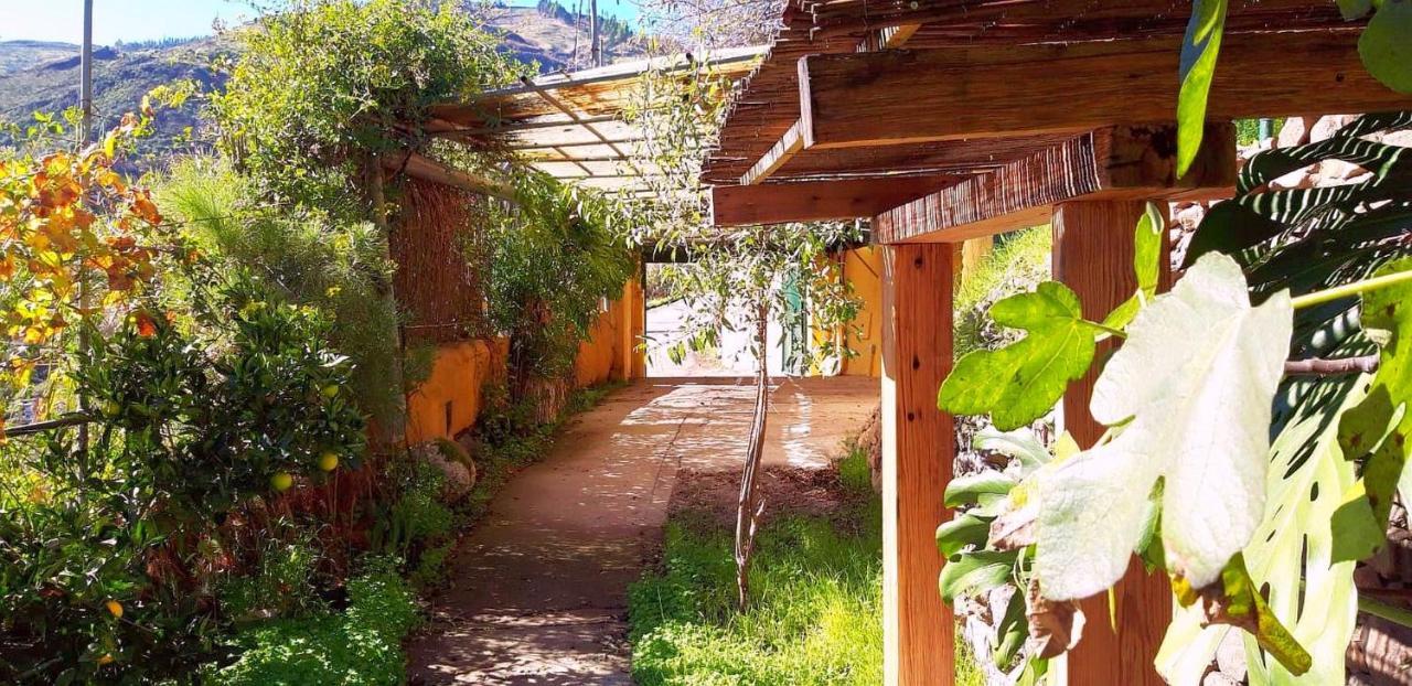 Villa El Manantial Вега де Сан Матео Екстериор снимка